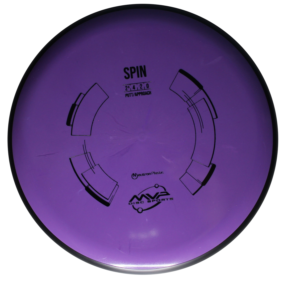 Neutron Spin