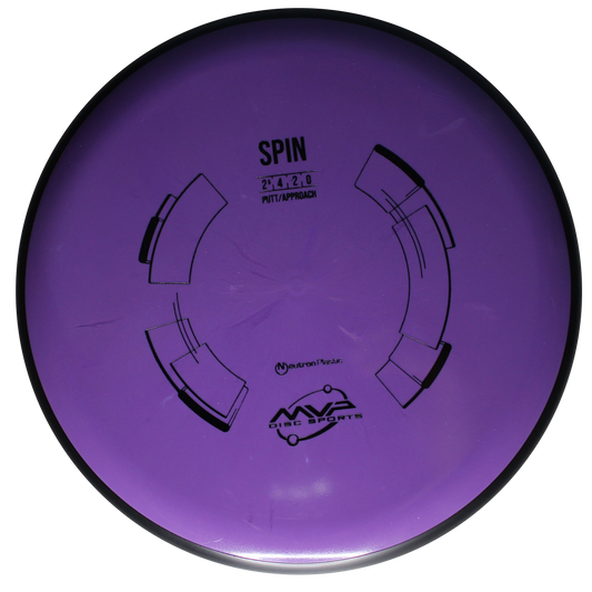 Neutron Spin