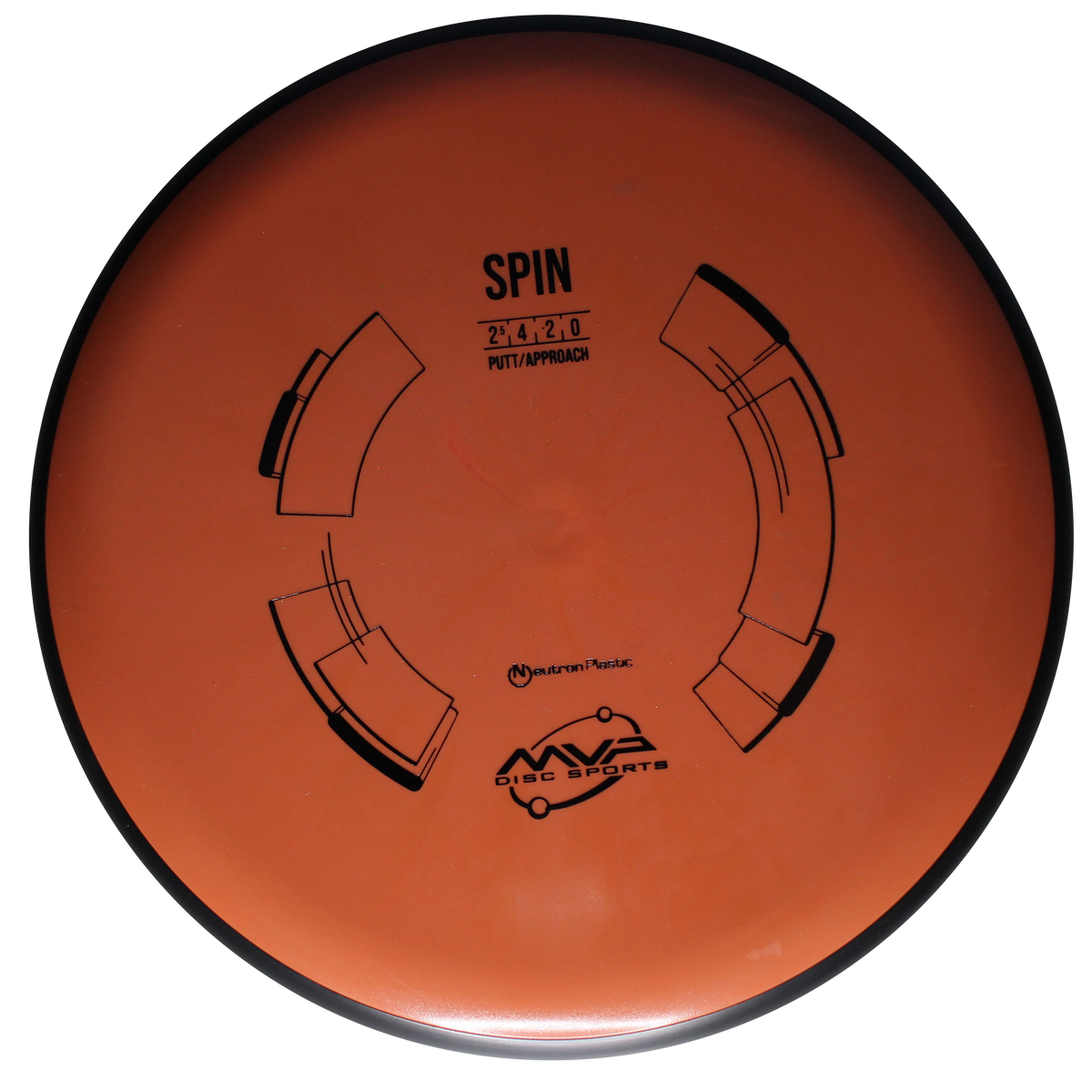 Neutron Spin