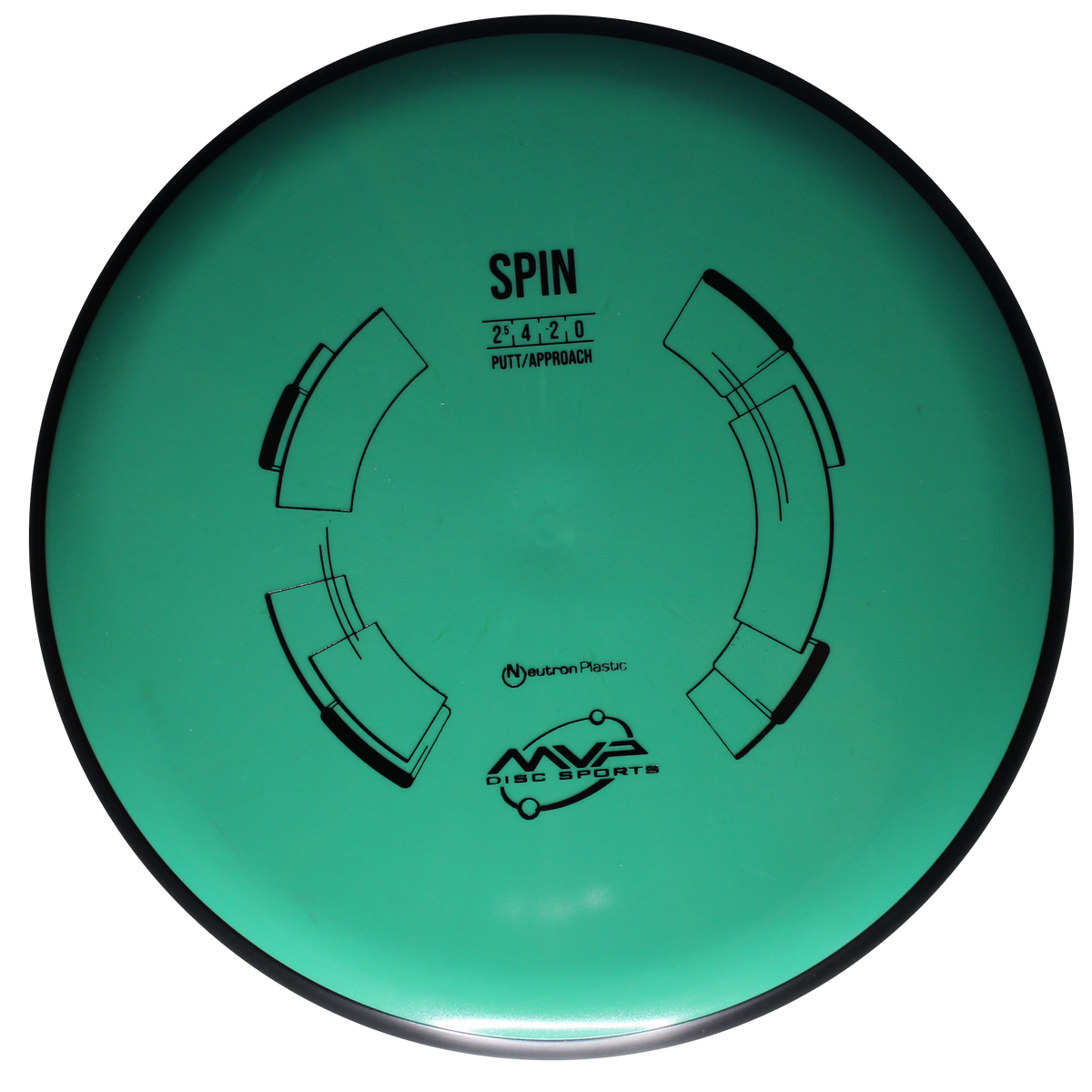 Neutron Spin