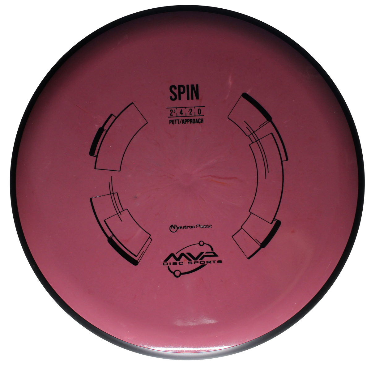 Neutron Spin