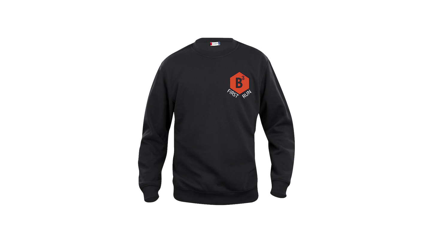 bouncebackbirdie_merch_genser